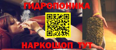 apvp Кинель