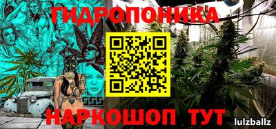 apvp Кинель