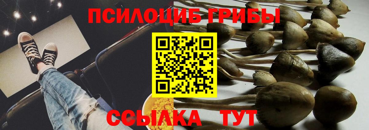 Псилоцибиновые грибы ЛСД  Назарово 